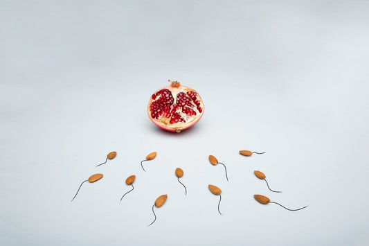 Qualité spermatique : importance méconnue
